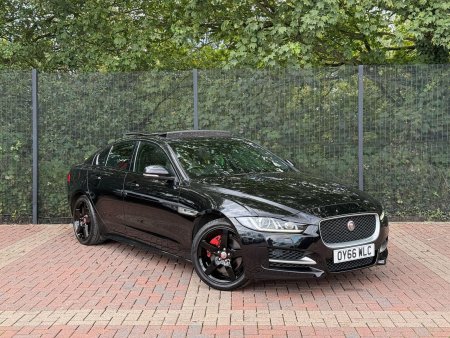JAGUAR